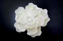 Gardenia Flower - White